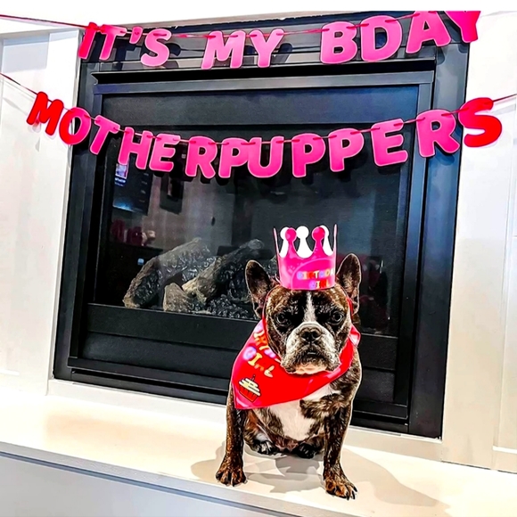 🐩 It's My Bday Motherpuppers